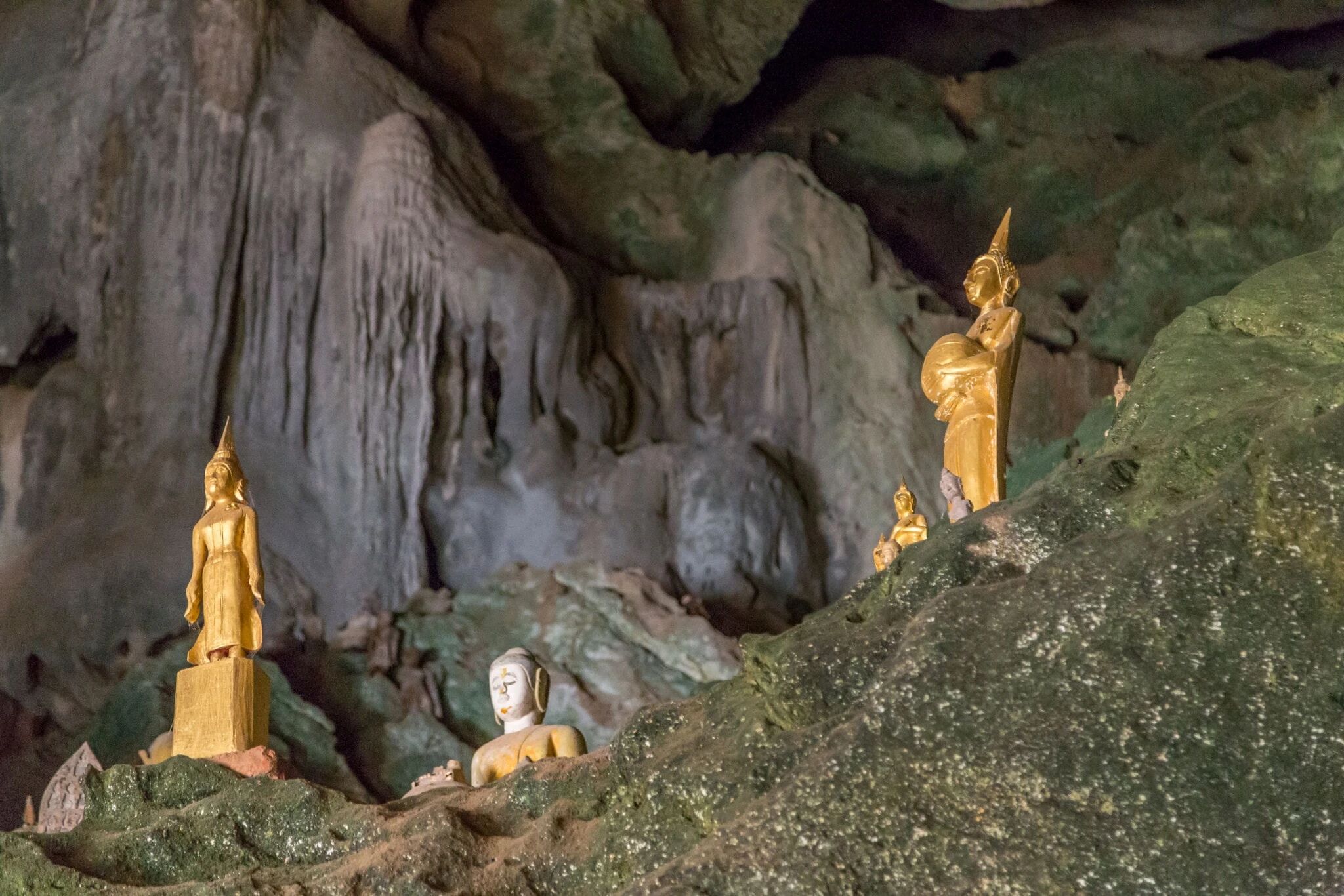 Experience Pak Ou’s culture with guided tours